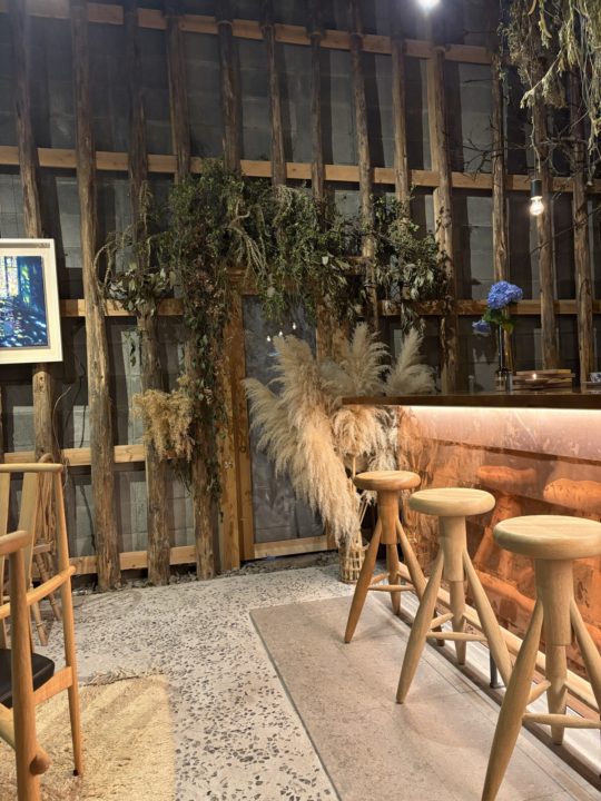 ★鹿児島空港や霧島神社から車で行ける、おすすめカフェ「光芒」@鹿児島県霧島市 かき氷 ケーキ オシャレ オススメ 霧島神宮駅近く