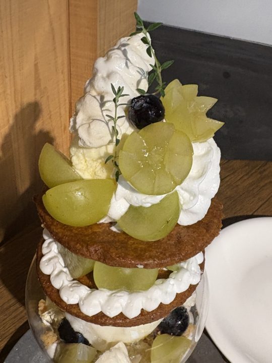 ★「Ao.Hostel＆Cafe LOUNGE」シャインマスカットパフェ＆クインニーナフロート＆パッションサイダー＆タコライス＠熊本県人吉市のカフェ