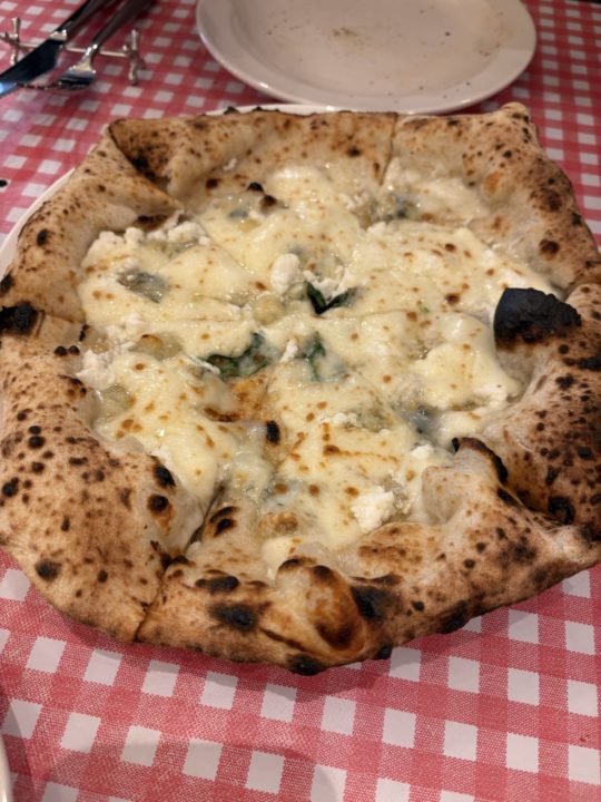 ★「マリナーラ」がこんなに美味しいなんて知らなかった!「Pizzeria MARU(ピッツェリアマル)」@鹿児島県鹿児島市