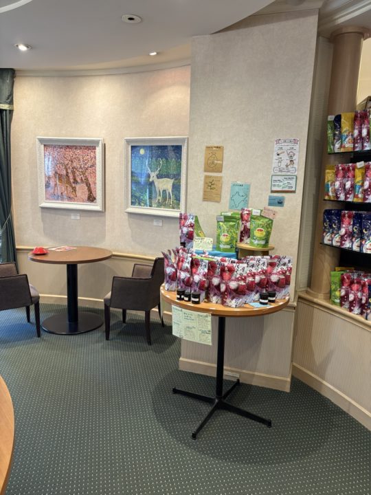 ★「ムレスナティ―東京(MLESNATEA TOKYO)」@東京都武蔵野市 大好きな吉祥寺で大好きな紅茶をティーフリーで楽しめるお店