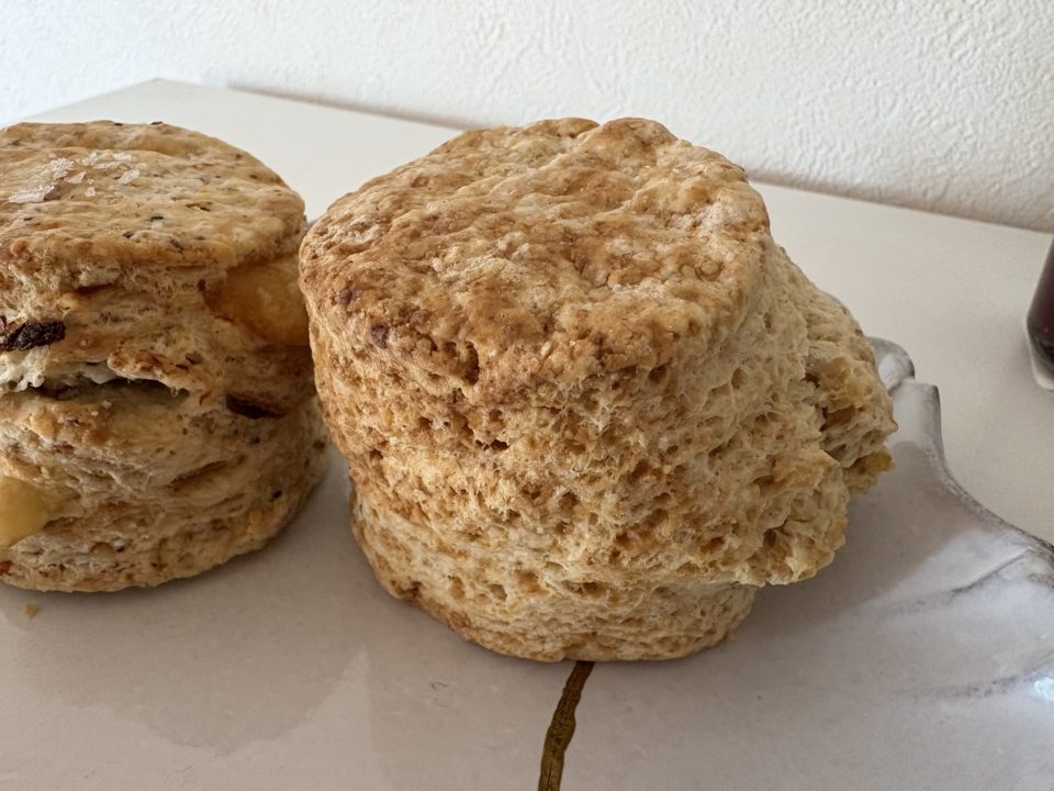 スコーン ベーコンチーズ・プレーン/satomi kiln(サトミキルン)@宮城県仙台市 2月