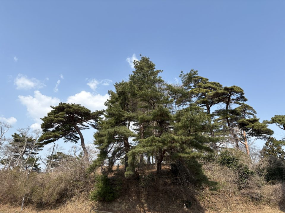 クロックマダム・パリ風ニョッキ・いちじくのパフェ・ポミヨンシードル・ペリエ／Le Roman（ロマン）＠宮城県宮城郡松島町 日本三景