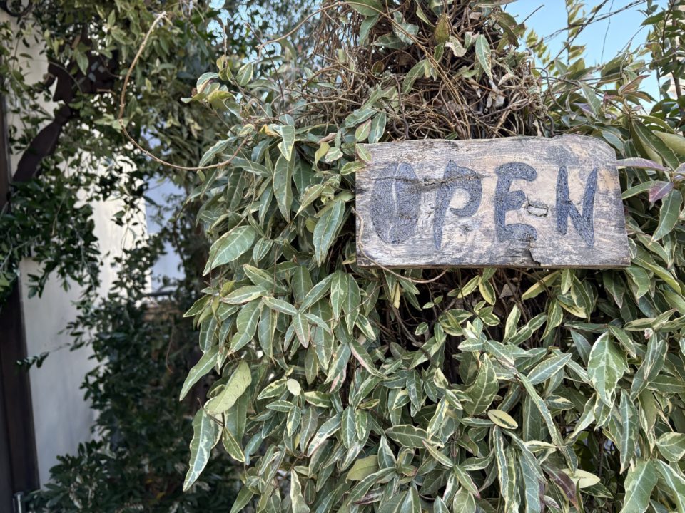 期間限定メニュー 桜のティラミス&カーネーションのティラミス/Antique&Cafe TiTi(アンティーク&カフェ ティティ)@宮城県仙台市 ケーキ 桜スイーツ アンティークショップ併設 蔵 ケーキ 写真