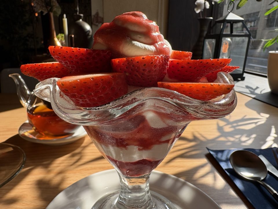 始まったばかりの苺のパフェが安いし美味しい！／フロントーサ（Frontosa）@鹿児島 カフェ 3月 イングリッシュローズティーもポットで